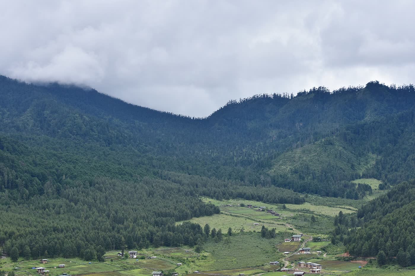 Gangtey valley