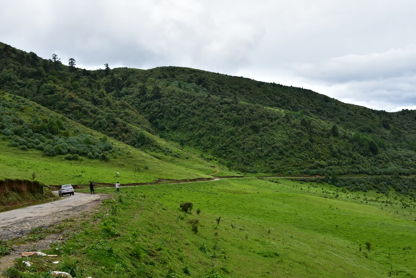 Phobjikha valley