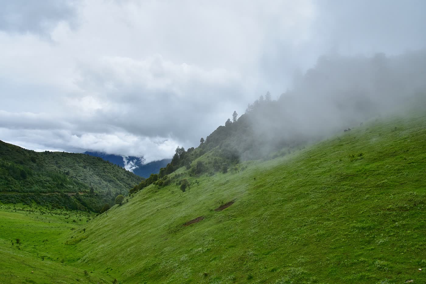 Gangtey valley
