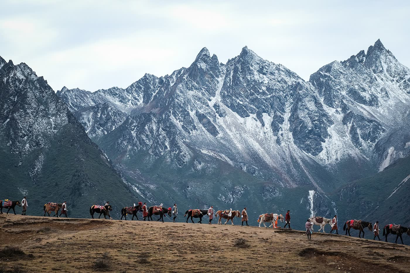 Jigme Dorji National Park