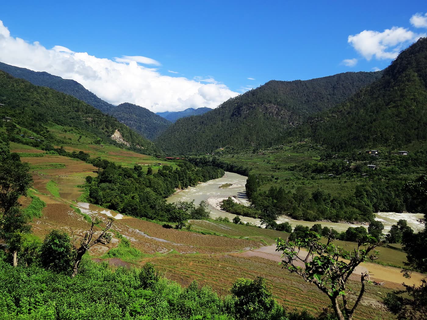 Jigme Dorji National Park