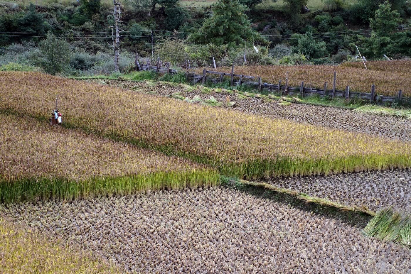 Bumthang valley