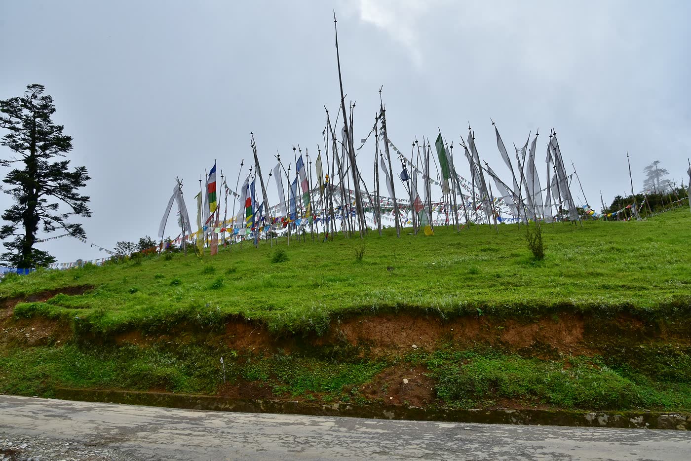 Phobjikha valley