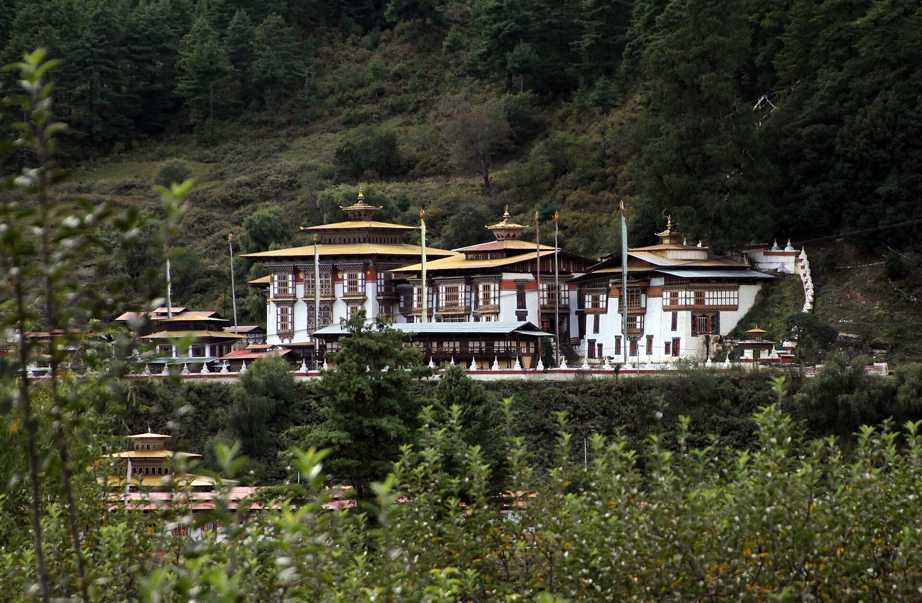 Bhutan's Buddhism