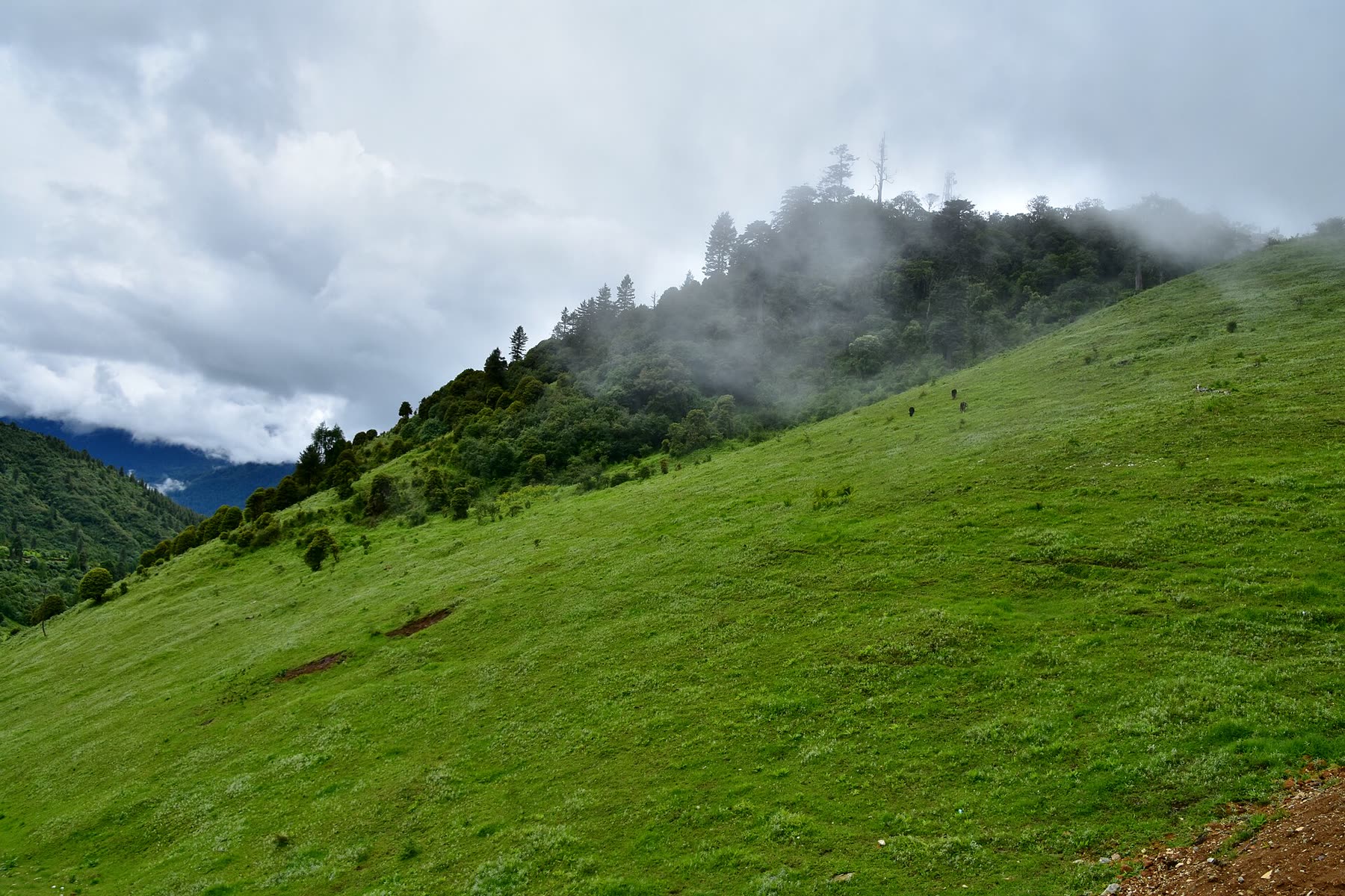 Sustainable Tourism